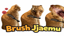 Brush Jjaemu img