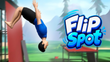 Flip Spot img